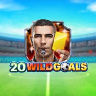 20_WILD_GOALS