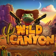 casino-game-thumb-STK_WILD_CANYON_95